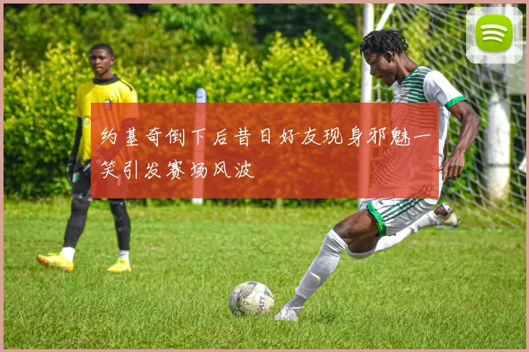约基奇倒下后昔日好友现身邪魅一笑引发赛场风波