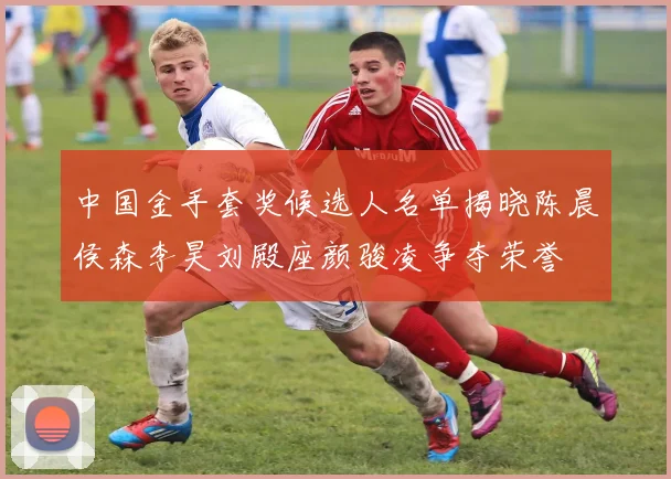 中国金手套奖候选人名单揭晓陈晨侯森李昊刘殿座颜骏凌争夺荣誉