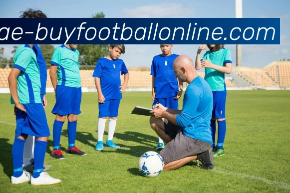 在线买球网站服务体系